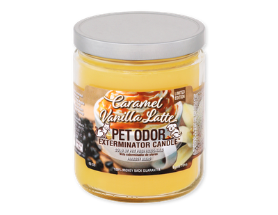 HOLLY MOLLY - Caramel Vanilla Latte Pet Odor Exterminator Candle