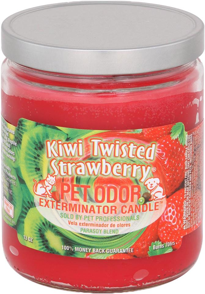 HOLLY MOLLY - Kiwi Twisted Strawberry Pet Odor Exterminator Candle, Net Weight: 13oz
