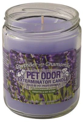 HOLLY MOLLY - Lavender with Chamomile Pet Odor Exterminator Candle, Net Weight: 13oz