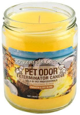 HOLLY MOLLY - Pineapple &amp; Coconut Pet Odor Exterminator Candle, Net Weight: 13oz