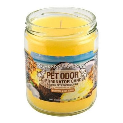 HOLLY MOLLY - Pineapple &amp; Coconut Pet Odor Exterminator Candle