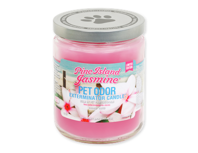 HOLLY MOLLY - Pine Island Jasmine Pet Odor Exterminator Candle