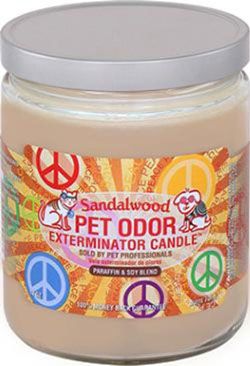 HOLLY MOLLY - Sandalwood Pet Odor Exterminator Candle, Net Weight: 13oz