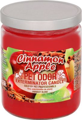 HOLLY MOLLY - Cinnamon Apple Pet Odor Exterminator Candle