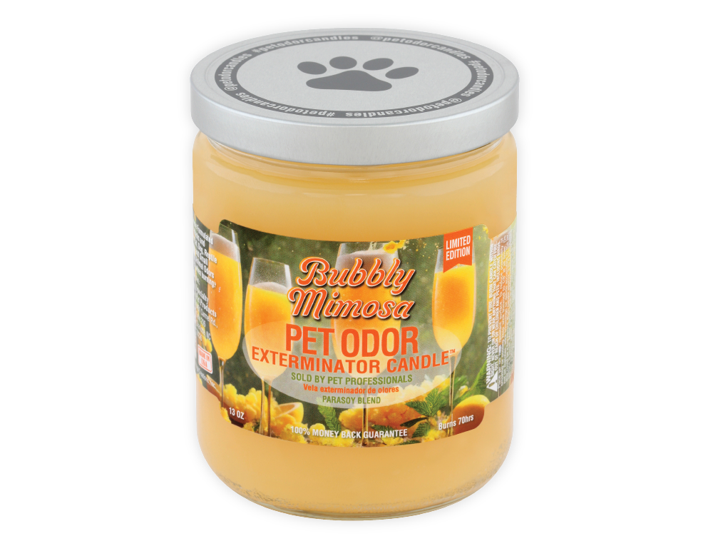 HOLLY MOLLY - Bubbly Mimosa Pet Odor Exterminator Candle