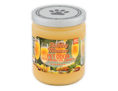 HOLLY MOLLY - Bubbly Mimosa Pet Odor Exterminator Candle