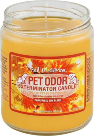 HOLLY MOLLY - Fall'N Leaves Pet Odor Exterminator Candle, Net Weight: 13oz