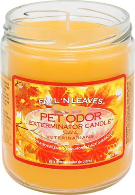 HOLLY MOLLY - Fall'N Leaves Pet Odor Exterminator Candle