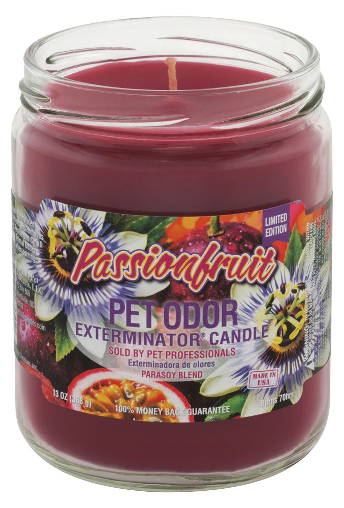 HOLLY MOLLY - Passion Fruit Pet Odor Exterminator Candle, Net Weight: 13oz
