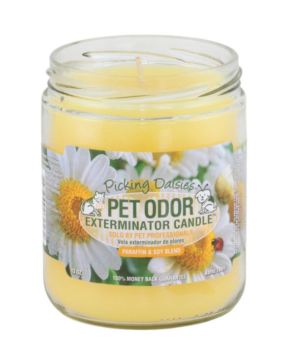 HOLLY MOLLY - Picking Daisies Pet Odor Exterminator Candle, Net Weight: 13oz