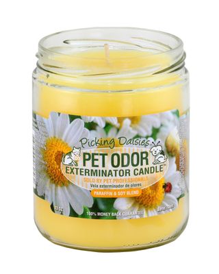 HOLLY MOLLY - Picking Daisies Pet Odor Exterminator Candle
