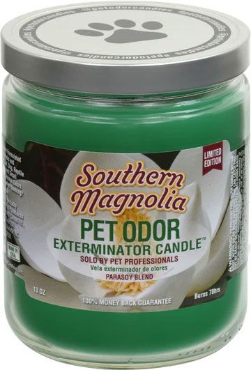 HOLLY MOLLY - Southern Magnolia Pet Odor Exterminator Candle, Net Weight: 13oz