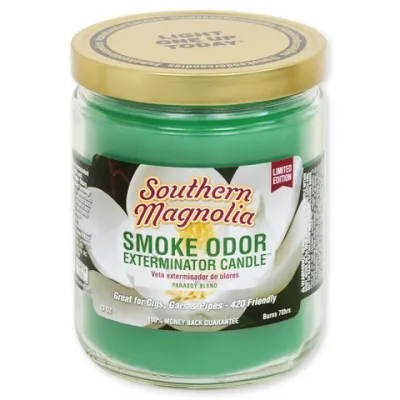 HOLLY MOLLY - Southern Magnolia Pet Odor Exterminator Candle