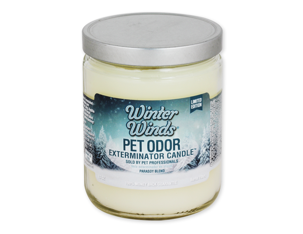 HOLLY MOLLY - Winter Winds Pet Odor Exterminator Candle