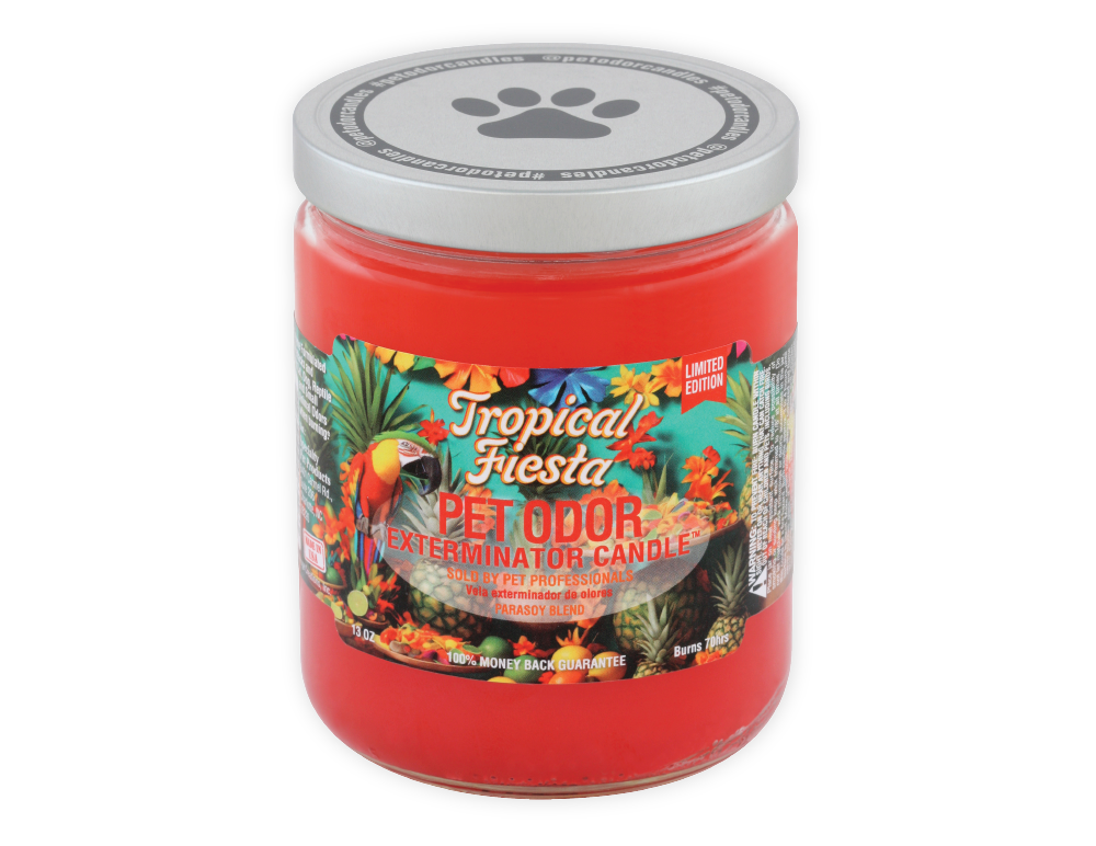 HOLLY MOLLY - Tropical Fiesta Pet Odor Exterminator Candle, Net Weight: 13oz