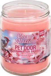 HOLLY MOLLY - Cherry Blossom Pet Odor Exterminator Candle, Net Weight: 13oz