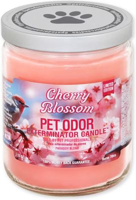 HOLLY MOLLY - Cherry Blossom Pet Odor Exterminator Candle