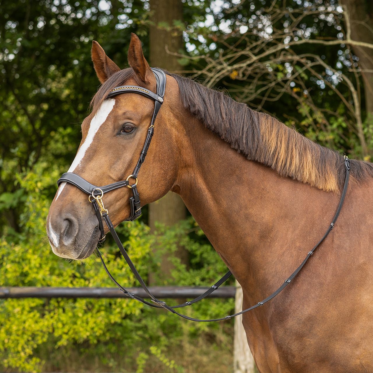 QHP - Anatomical Bitless Bridle