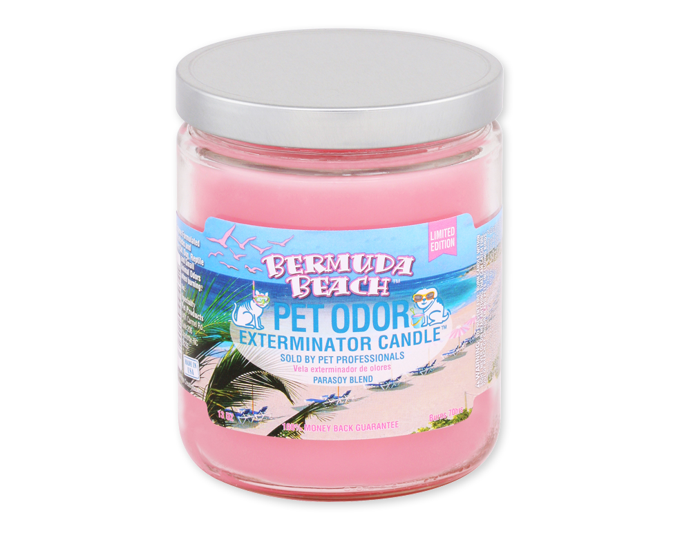 HOLLY MOLLY - Bermuda Beach Pet Odor Exterminator Candle