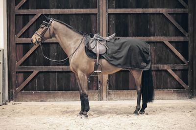 KENTUCKY HORSEWEAR - Couvre-Reins All Weather Noir