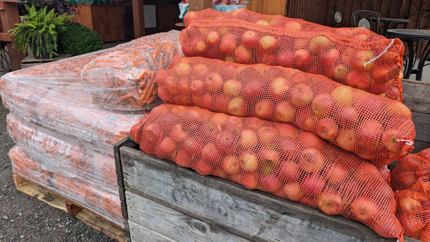 VERGER CASSIDY - Fresh Carrots, Net Weight: 40-50lbs