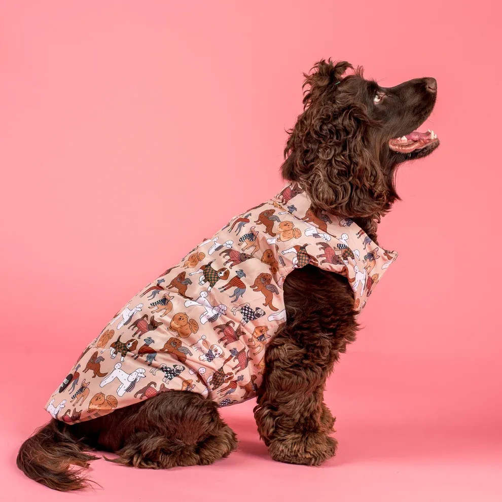 PABLO &amp; CO - Winter Pooches / Kensington Reversible Puffer Vest