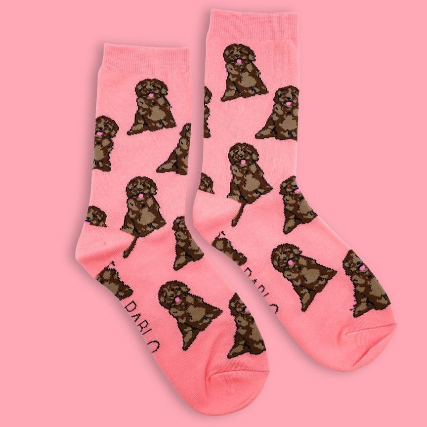PABLO &amp; CO - Dog Breed Socks, Colour / Breed: Cavadoodle