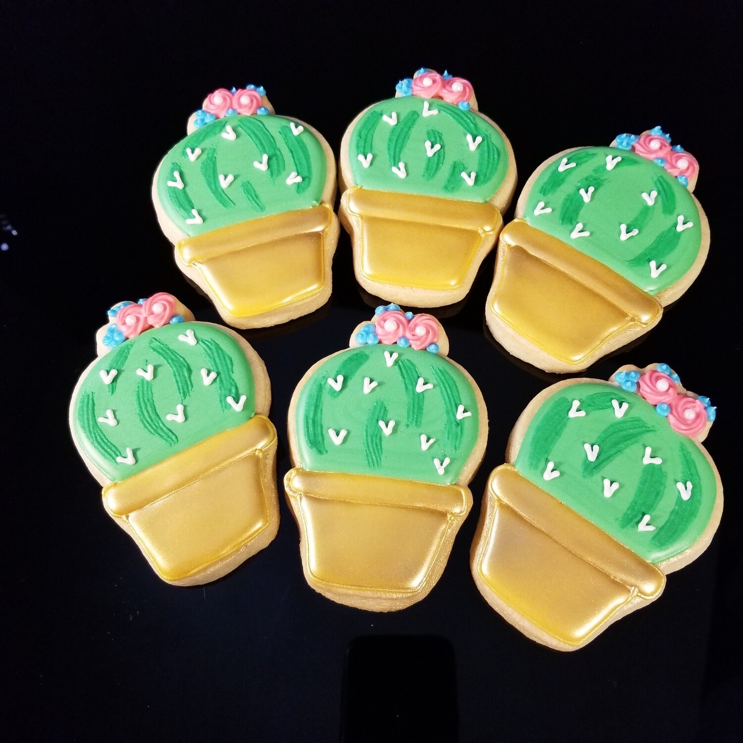 POTTED CACTUS SET