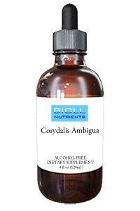 Corydalis Ambigua