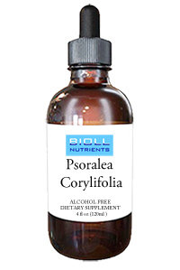 Psoralea Corylifolia