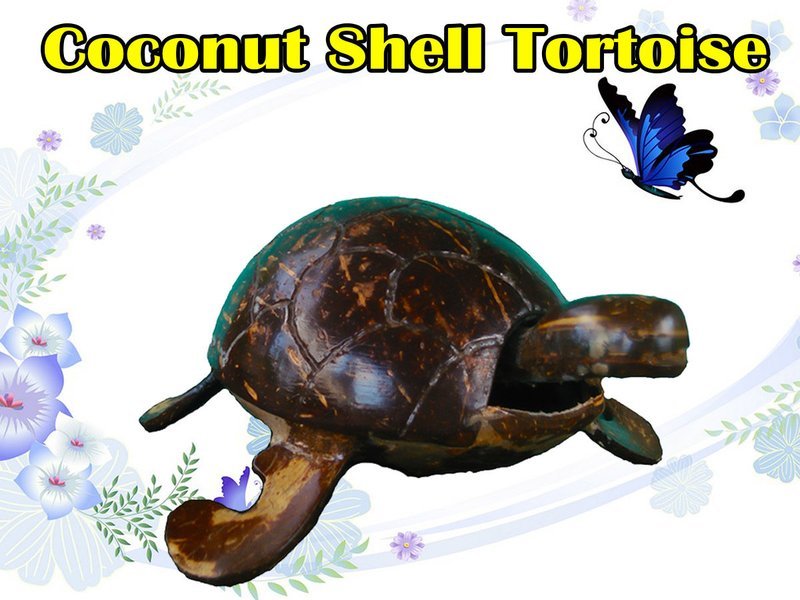 Handy Craft Tortoise