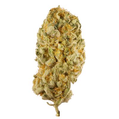 Jack Herer 3.5g 33% THC