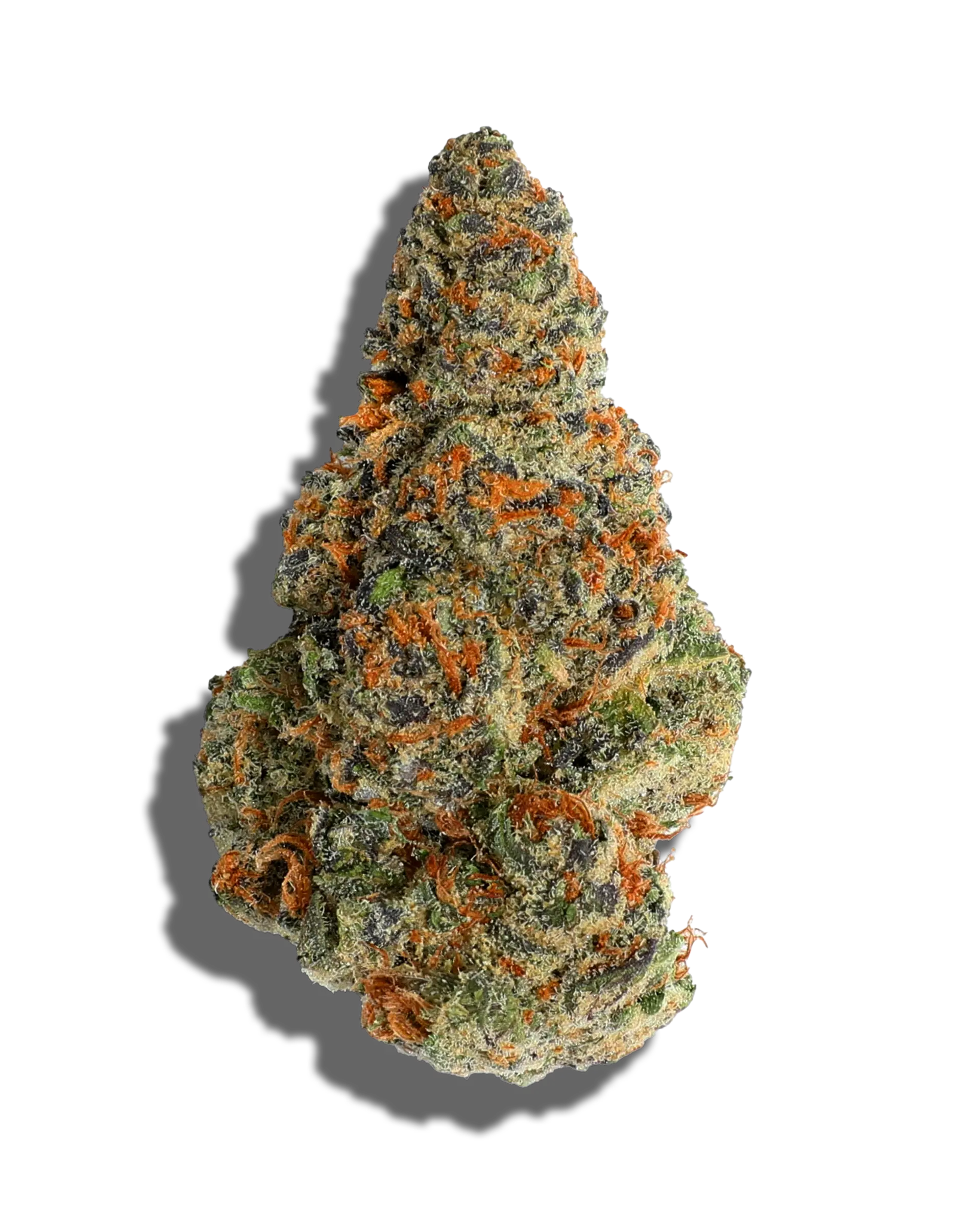 Gelonade 7g 31% THC