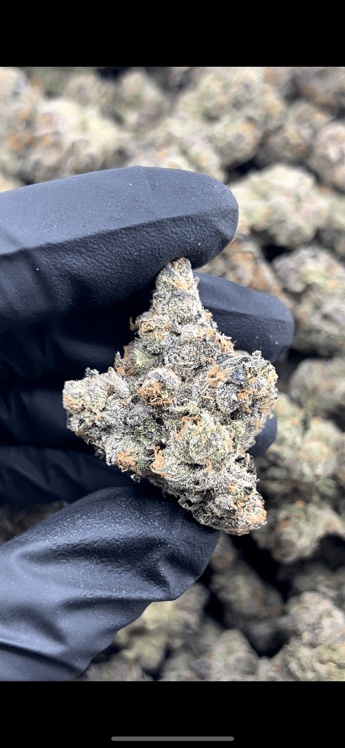 Z’Lato 3.5g 31% THC