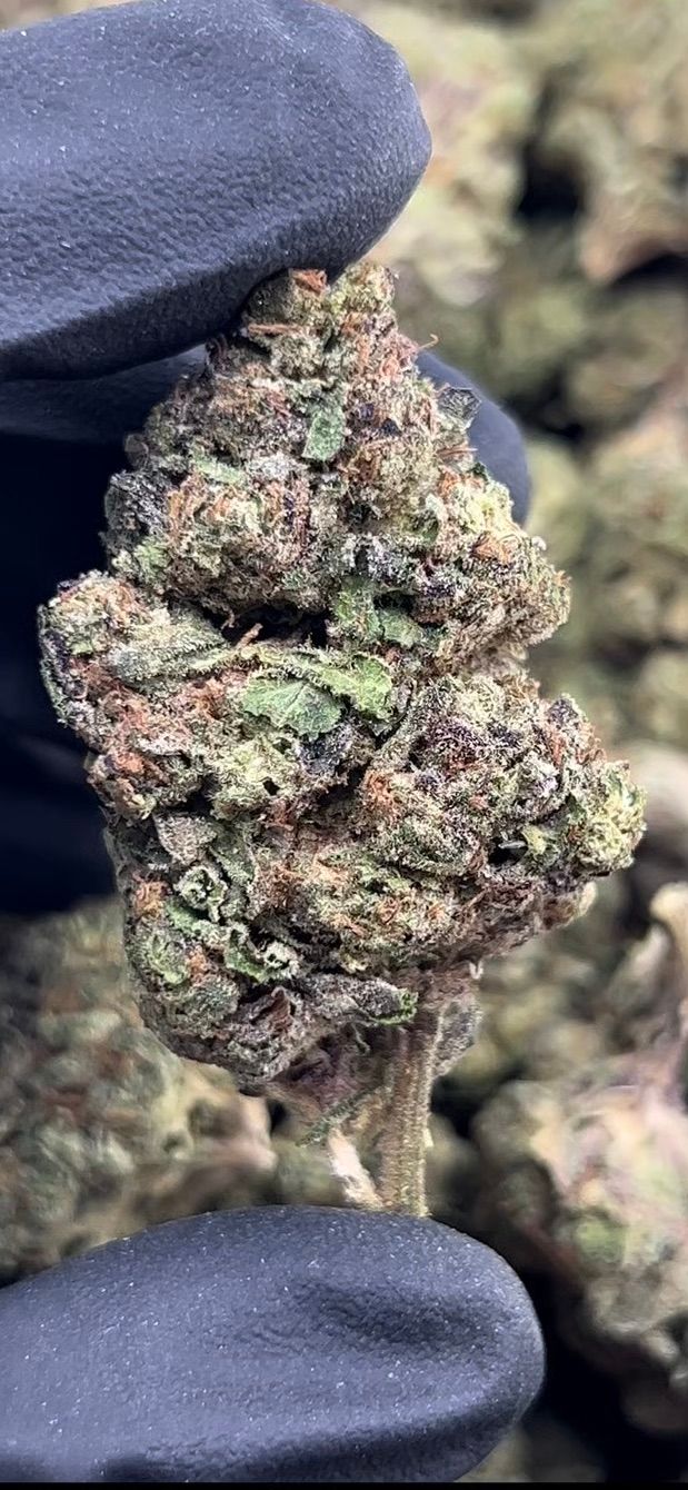 Biscotti Runtz 3.5g 30% THC (Smalls)