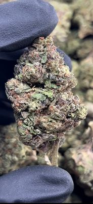 Biscotti Runtz 3.5g 30% THC
