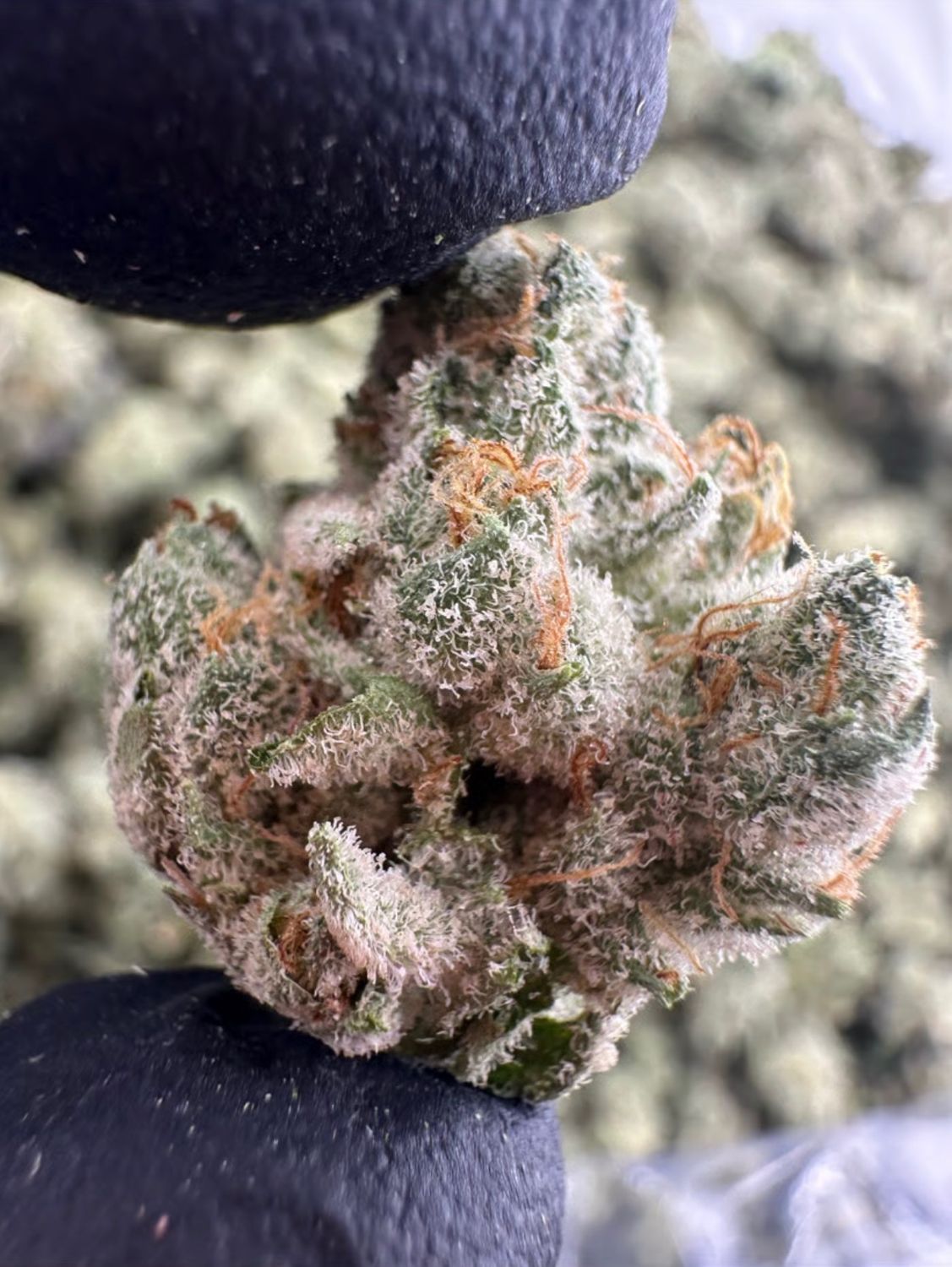 Zourz 3.5g 30% THC