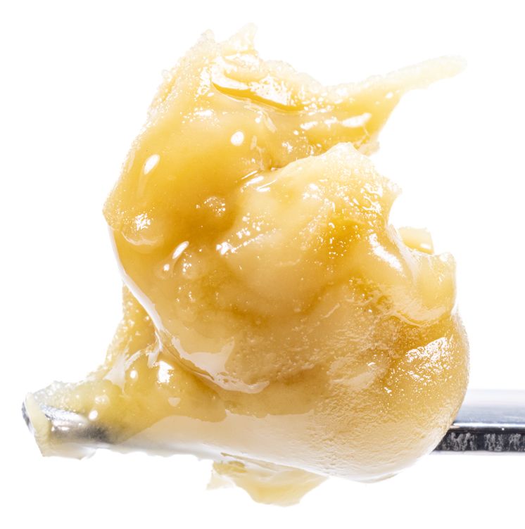 Motorbreath x Banana Punch Live Rosin Cold Cure Badder 1g (69.08% THC) | West Coast Cure