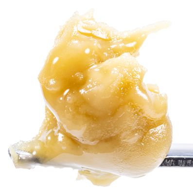 Motorbreath x Banana Punch Live Rosin Cold Cure Badder 1g (69.08% THC) | West Coast Cure