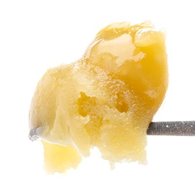 Peanut Butter Breath Live Rosin Cold Cure Badder 1g (69.08% THC) | West Coast Cure