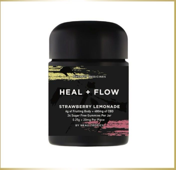 Heal + Flow Strawberry Lemonade Gummies (6g + 480mg CBD) | Neau Tropics