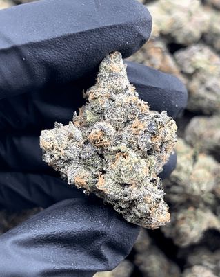 Z’Lato 1oz 31% THC