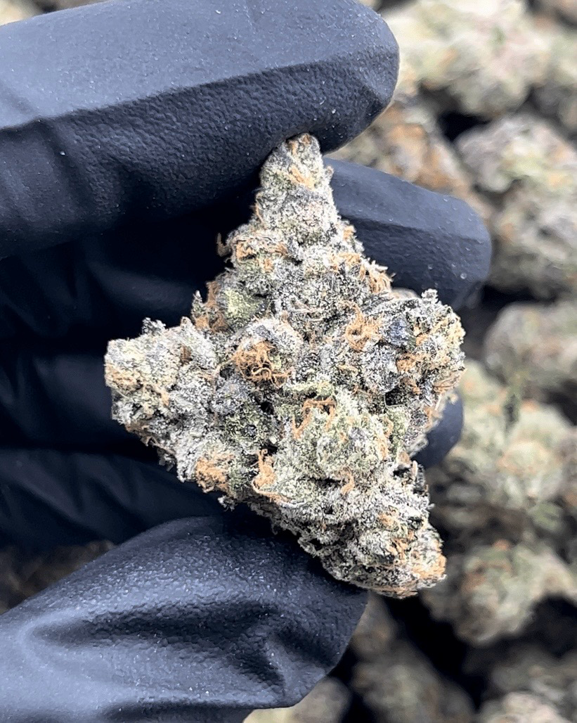 Z’Lato 3.5g 31% THC