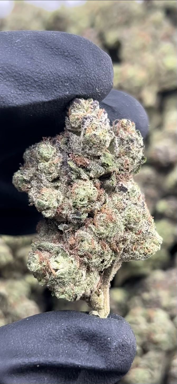 Push Pop 3.5g 28% THC