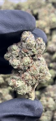 Push Pop 3.5g 28% THC