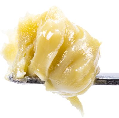Government Oasis Live Rosin Cold Cure Badder 1g (69.08% THC) | West Coast Cure
