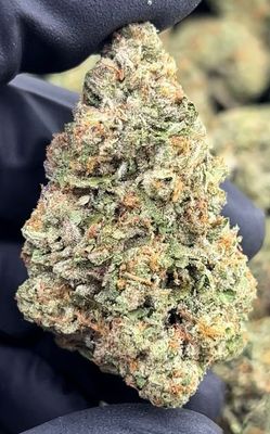 Gelato 41 3.5g (30% THC)