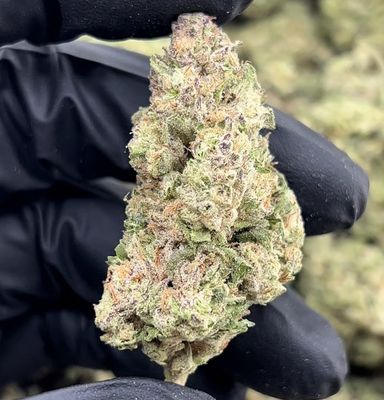 Gushlatti 3.5g (25% THC)