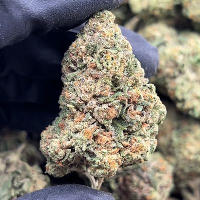 Area 41 1oz (30% THC)