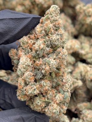 Jack Herer 3.5g (27% THC)
